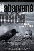 Nabarvené ptáče